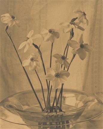 LAURA GILPIN (1891-1979) Narcissus. 1926.                                                                                                        